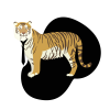 tigre11